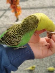 -萌宠亲子动物乐园(槐房万达店)