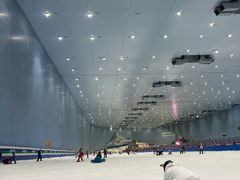 -广州热雪奇迹
