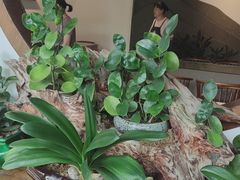 -茶油香闽南菜·花园餐厅(前埔店)