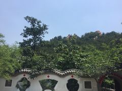 -老张烤羊(王哥庄店)