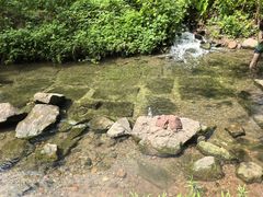 -重庆彩云湖湿地公园