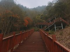 -太湖源风景区