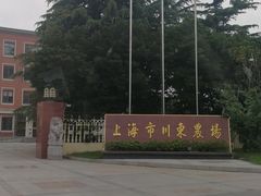 -大丰知青农场