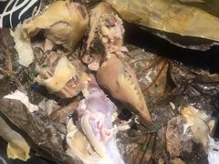 杭州叫花鸡-杭百味·大众精选杭帮菜(西湖音乐喷泉店)