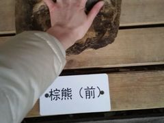-北京动物园