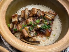 -红星光发煲仔饭(文海店)