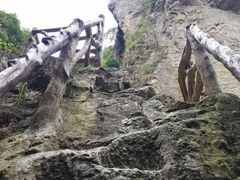 -雁荡山雁湖景区