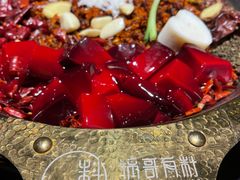 -锅哥有料老火锅(金港国际店)
