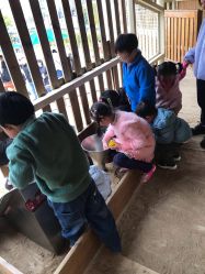 -季高兔窝窝亲子园(上海薰衣草公园店)