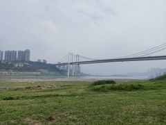 -戏作寿司(观音桥店)
