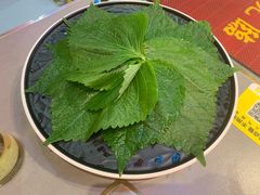紫苏叶-棒小伙·齐齐哈尔烤肉(龙茗路店)