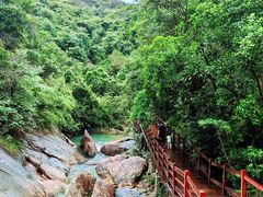 -广州白江湖森林公园