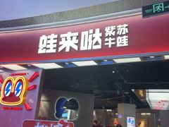 -蛙来哒(汇一城黑金冠店)