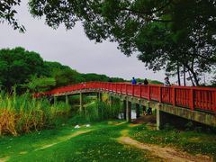 -美兰湖景区