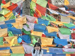 -硗碛藏寨·神木垒景区