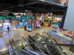 -卡通尼·Safari非洲探索乐园·生日会(金桥国际商业广场店)