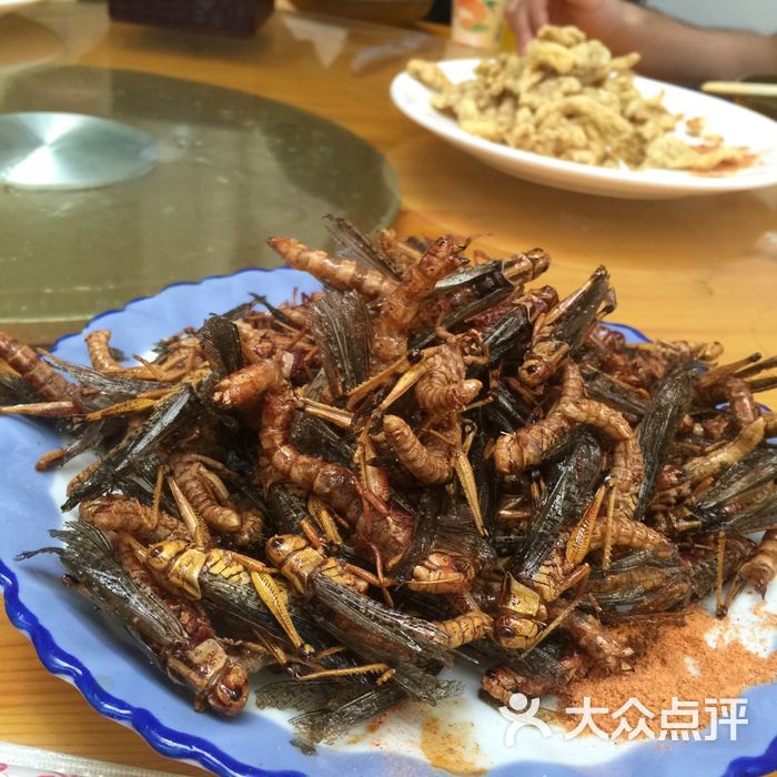 郭家大院粗粮宴炸蚂蚱图片-北京农家菜-大众点评网