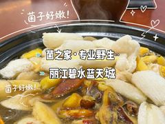 -菌之家·专业纯野生菌火锅·特色炒菌