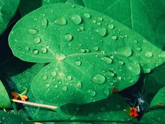 -天津东丽湖风景区