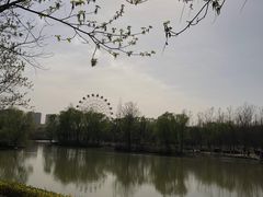 -西安浐灞国家湿地公园
