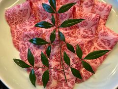 -然锅料理