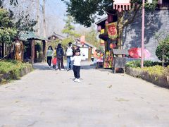 -合肥滨湖国家森林公园