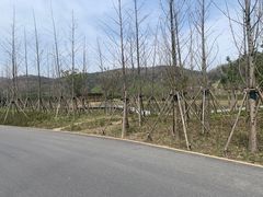 -南北湖风景区