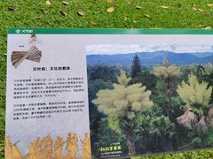 -中国科学院西双版纳热带植物园