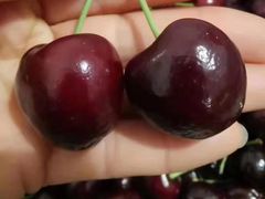 -唐桥水果批发市场