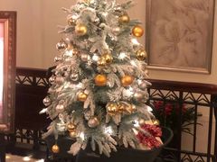 -上海和平饭店华懋阁 Cathay Room