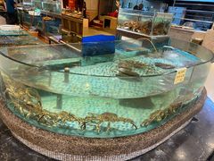 水产区-锦昌酒楼(即墨店)