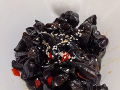 -老绍兴养和饭店(向阳不夜城店)