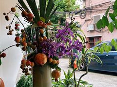 -蝶舍·MAISON PAPILLON