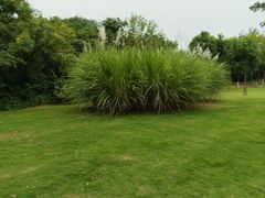 -盘龙城国家考古遗址公园