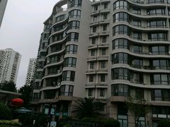 -新湖明珠城