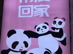 -熊猫屋(宽窄巷子景区店)