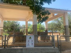 -石家庄市动物园