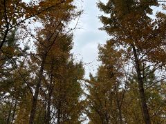 -汉景帝阳陵博物院