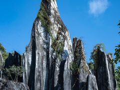 -玉石林风景区