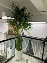 -沐泽SALON