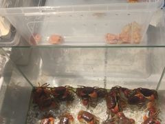 -骑鹅公社(南开大悦城店)