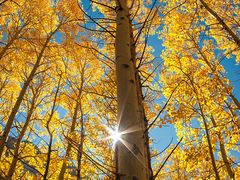 -自在弥林花园餐厅(云栖店)