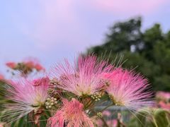 -苏州工学院(东湖校区)