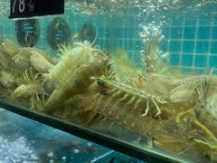 -覃记海鲜美食餐厅