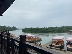 -东寨港红树林旅游区