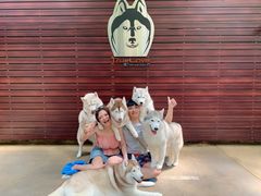 -TrueLove @ Neverland (Husky Cafe)