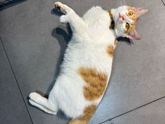-徐记味府·今晚吃龙虾(万达金街店)