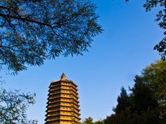 -玲珑塔公园