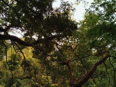 -人民公园(罗湖区)