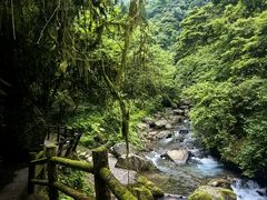 -西岭雪山大飞水景区